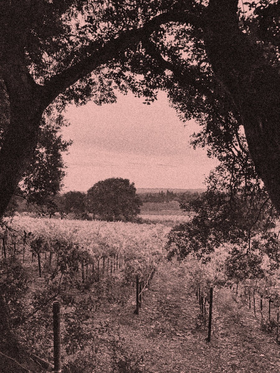 David Brainerd: Transformed by Beholding&nbsp;Christ