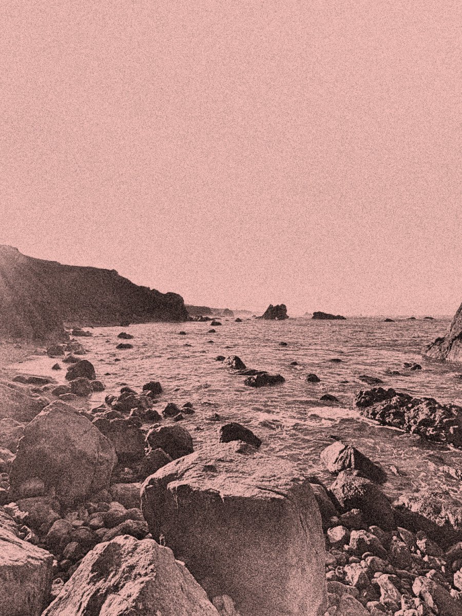 Ascribe Beauty to the&nbsp;Lord!