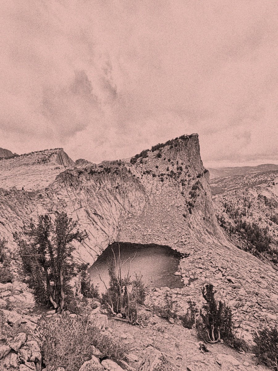 Well Said—December 2025